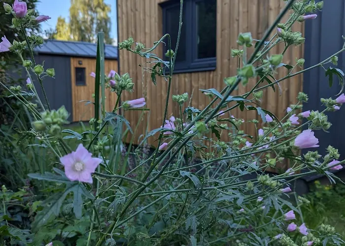 Hébergement de vacances Haus Silva Stuer